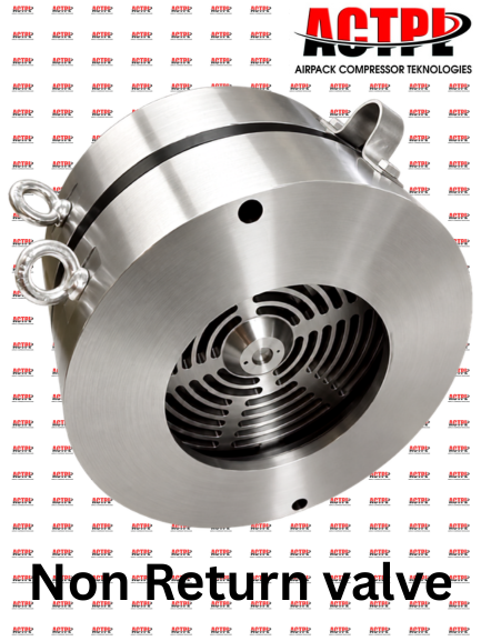 Non Return Valve